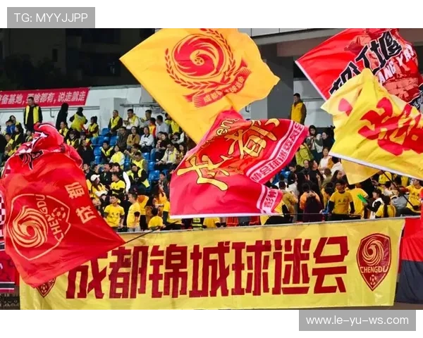 球迷热情点燃赛场周边文化热潮